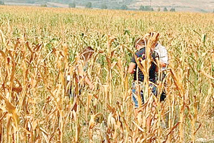 Gheorghe Danciu  speră ca poliţiştii să dea  de urma criminalului,  iar acesta să plătească  pentru faptele sale