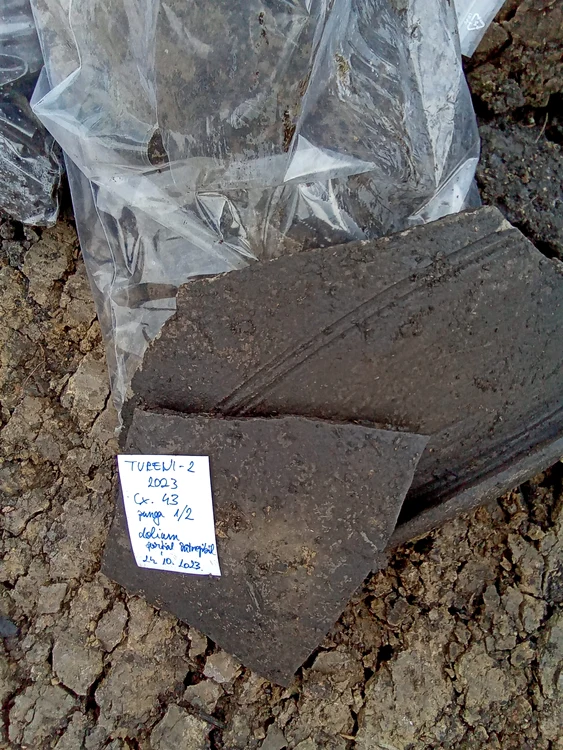 Descoperiri arheologice la Tureni. FOTO: Primăria Tureni