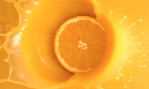 2 shutterstock 2035439945 jpg jpeg