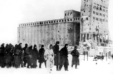 Prizonieri de război capturați de Armata Roșie la Stalingrad (© Wikimedia Common)