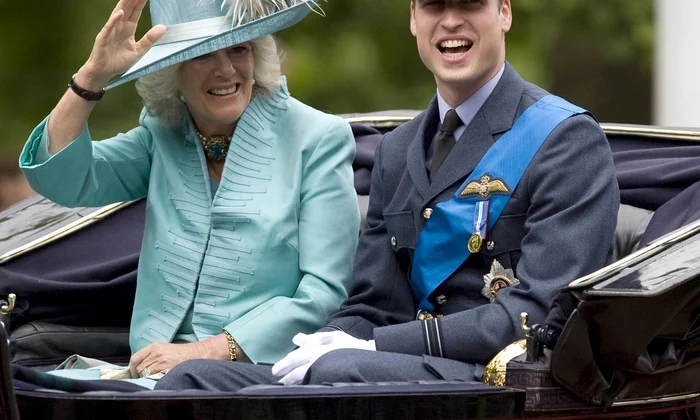 camilla si william2 profi jpg