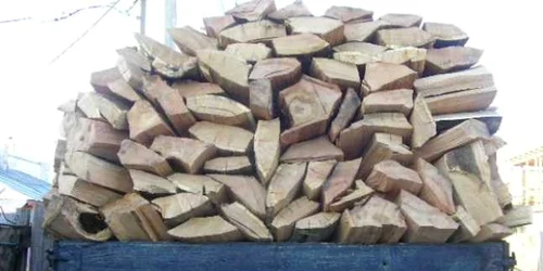 Poliţiştii şi silvicultorii au aplicat 41 de sancţiuni