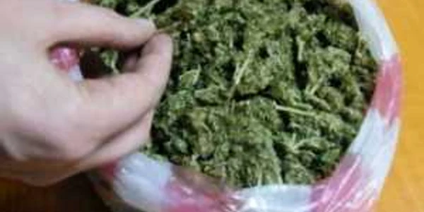 Subsatnţele halucinogene reprezintă un real pericol pentru cei care le consumă (Arhiva Adevărul)