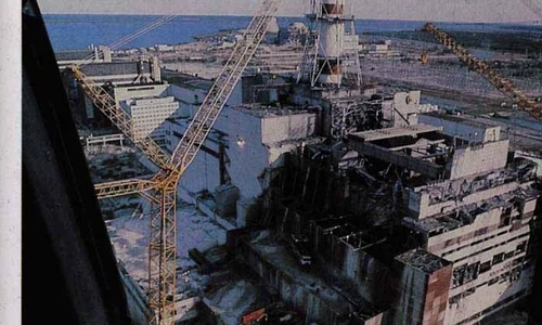 Plantele din zona Cernobâl s au adaptat la nivelul ridicat de radiaţii jpeg