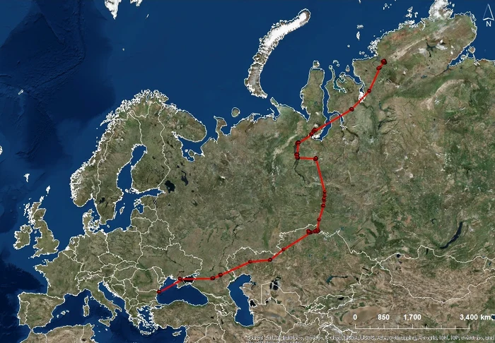Cele două păsări au plecat pe 12 martie din Bulgaria. Doar "Decebal" a ajuns în Siberia (9.000 km)