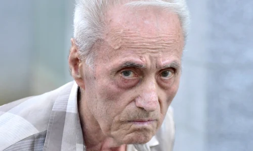 alexandru visinescu jpeg