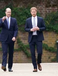 William și Harry, Getty (1) jpg