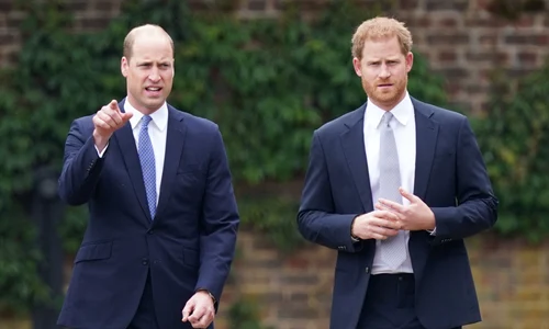William și Harry, Getty (1) jpg