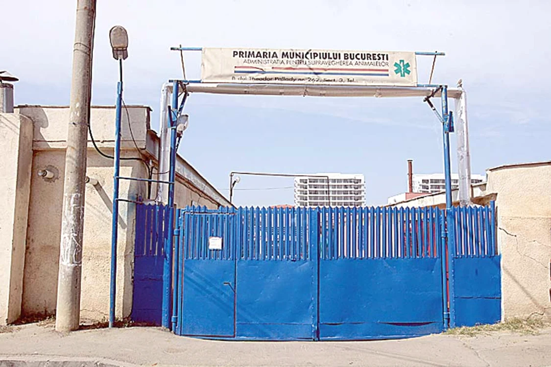 Abdo Salem, medicul legist  care l-a autopsiat pe Ionuţ