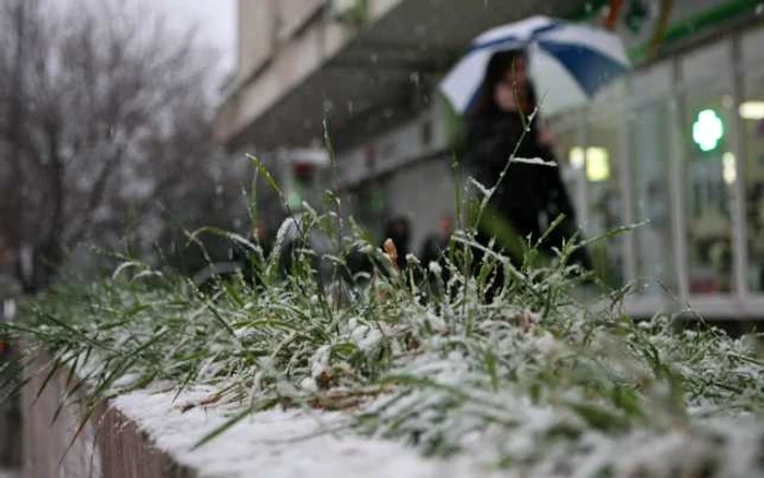 Iarba a fost acoperită cu zăpadă