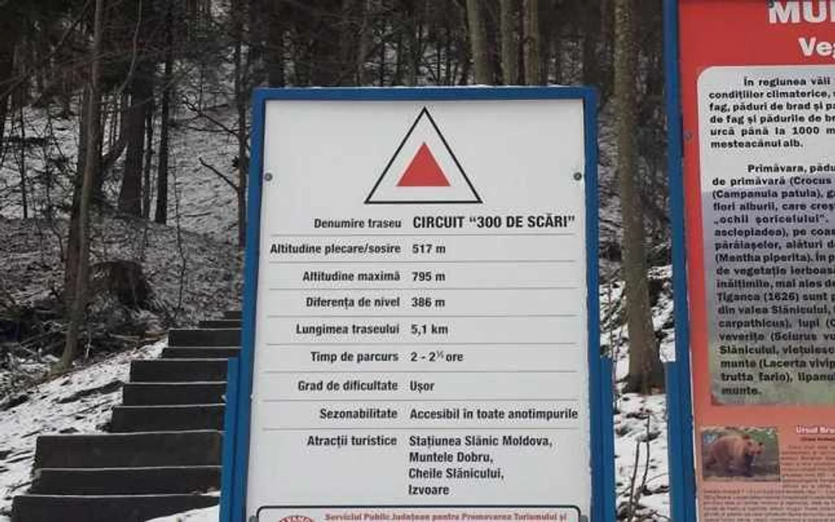 Mitropolia Moldovei şi Bucovinei îi ameninţă cu amenzi pe turiştii care-i calcă pădurea la Slănic Moldova