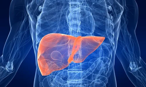 ficat jpeg