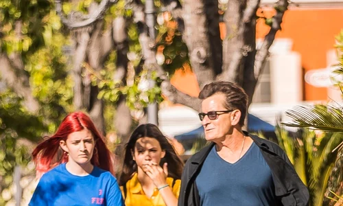 *EXCLUSIVE* Charlie Sheen takes Sam and a friend for a waxing jpeg