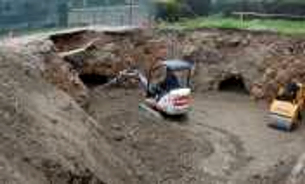 Beciurile sunt distruse pentru a face loc noilor construcţii 