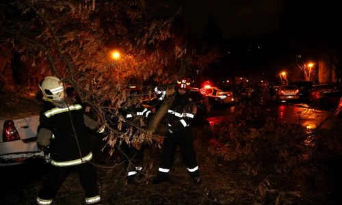 Un copac a căzut peste mai multe maşini în Bucureşti jpeg