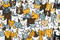 test2 jpeg