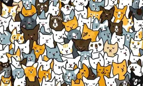 test2 jpeg