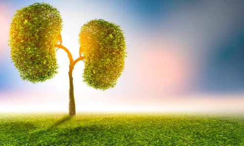 1 shutterstock 1711992349 jpg jpeg