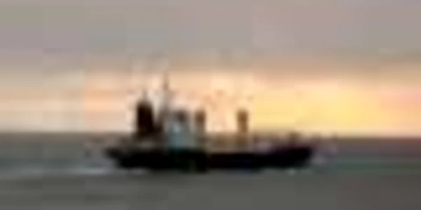 Arctic Sea transporta rachete sol-aer pentru Iran (Salzburger Nachrichten)