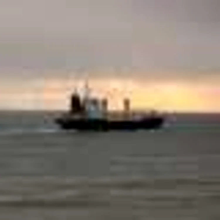 Arctic Sea transporta rachete sol-aer pentru Iran (Salzburger Nachrichten)