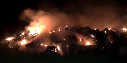 slobozia incendiu devastator in camp foto isu ialomita