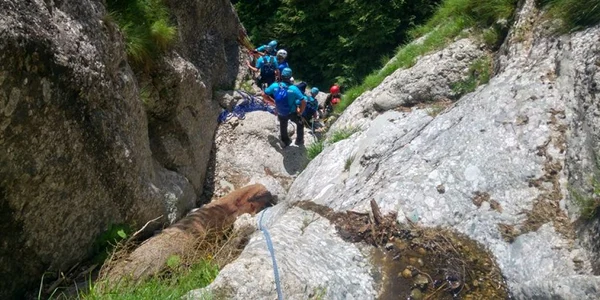 turist mort la cabana caraiman