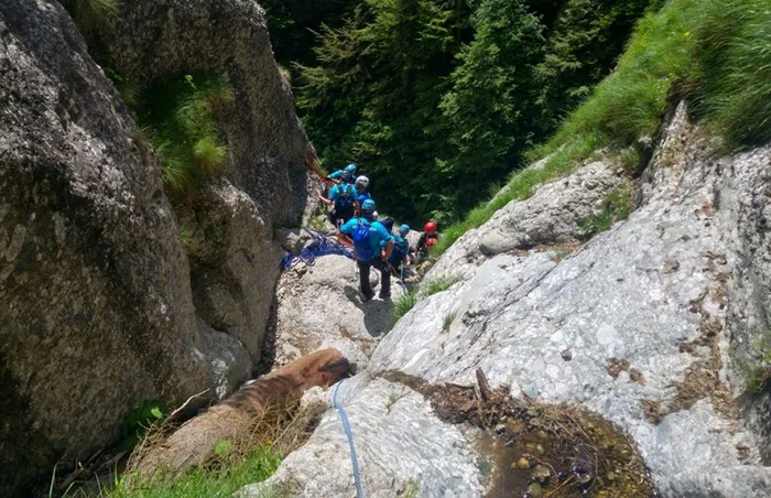 Jandarmii şi salvamontiştii încearcă să recupereze trupul neînsufleţit al unui turist căzut într-o prăpastie FOTO Jandarmeria Montană Prahova