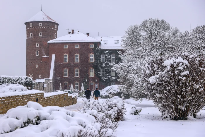A nins și în Polonia (foto: Profimedia)