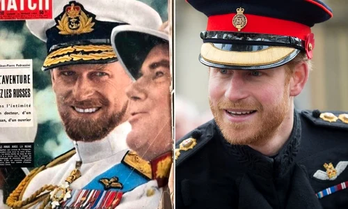 1 asemanare printi jpg jpeg