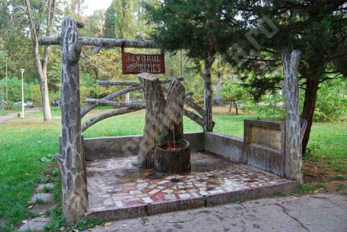 Staţiunea Buziaş, foto 2015  (sursa timpolis.ro)
