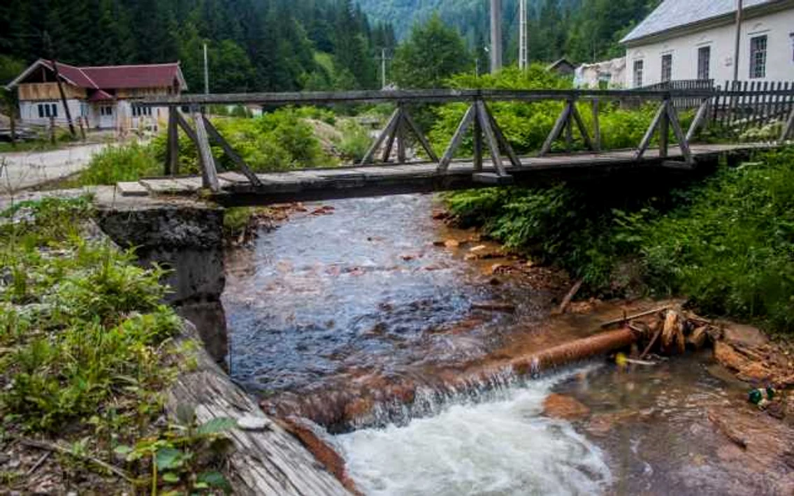 valea vinului 1