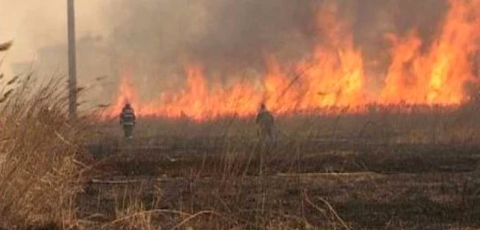 Bărbatul a dat foc gunoiului şi vegetaţiei. FOTO: ADEVĂRUL