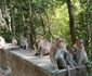 8 amalia enache si alma in india 10 jpg jpeg