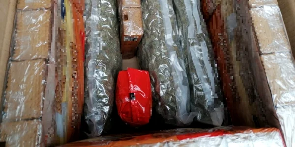 cannabis curier foto diicot constanta