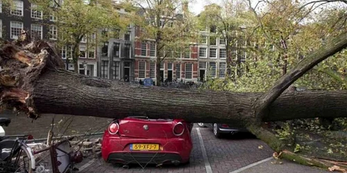 Furtuna in Europa - vremea la Amsterdam FOTO telegraph.co.uk