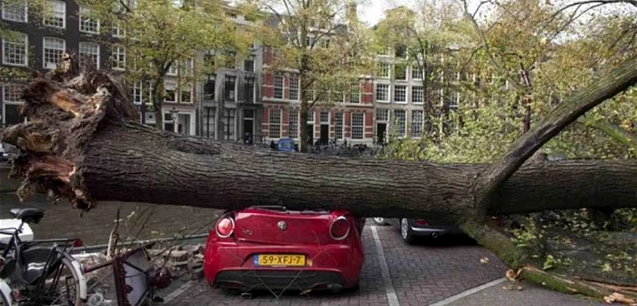 Autorităţile olandeze au dispus închiderea mai multor drumuri din cauza copacilor doborâţi de vânt, iar 90 de curse aeriene au fost anulate FOTO telegraph.co.uk