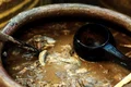 garum jpg