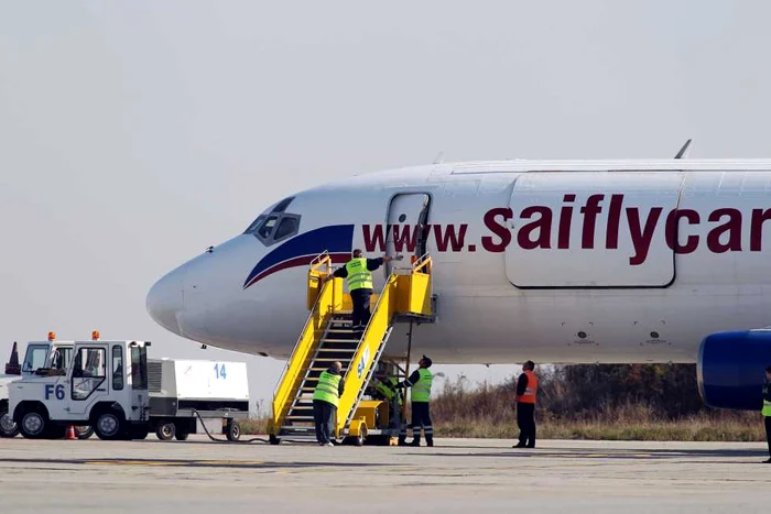 Vacile au fost aduse la Timișoara cu un avion special