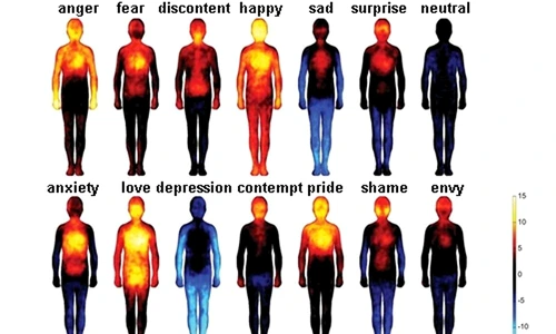 1 70352 original jpg jpeg