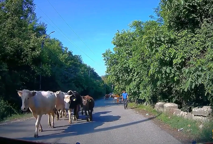 Lotul 6 Autostrada Sibiu Pitești pe tronsonul DN73C dintre Râmnicu Vâlcea și Tigveni Foto DMS