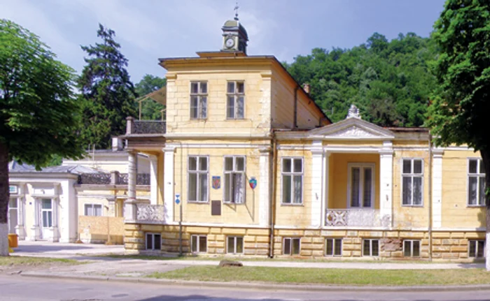 Vila „Elisabeta“ este un monument cărăşean de referinţă