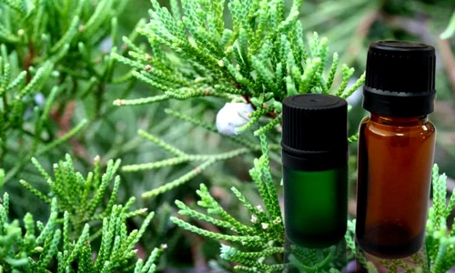 1 60717 original jpg jpeg