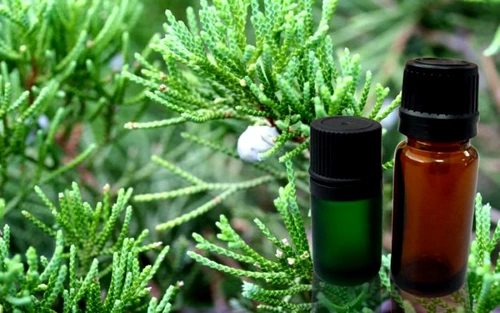 1 60717 original jpg jpeg