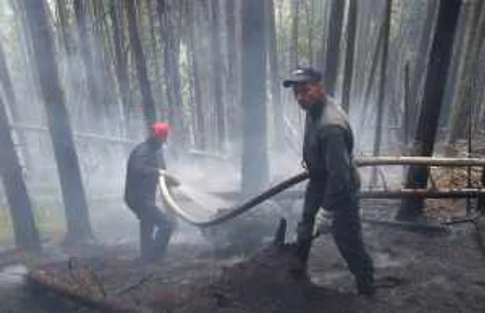 Incendiu de pe Muntele Puru a fost foarte greu de stins