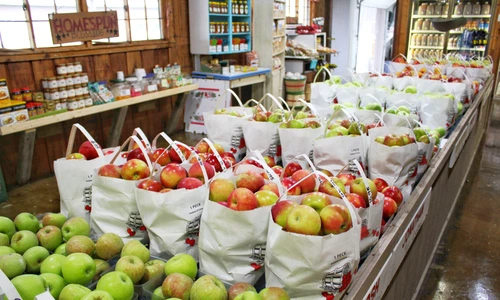 1 pexels photo 1831825 jpg jpeg