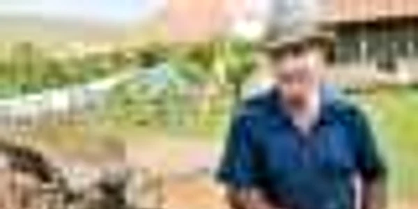 Laptele ţăranilor, hrana porcilor