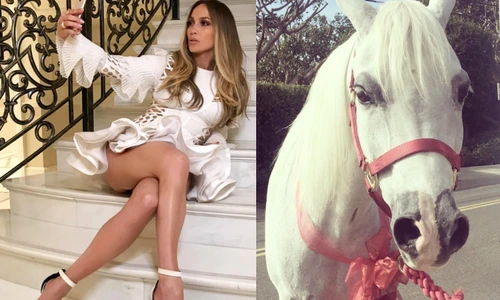 1 asta eeeeeeeeeeeeeeeeeeeee jpg jpeg