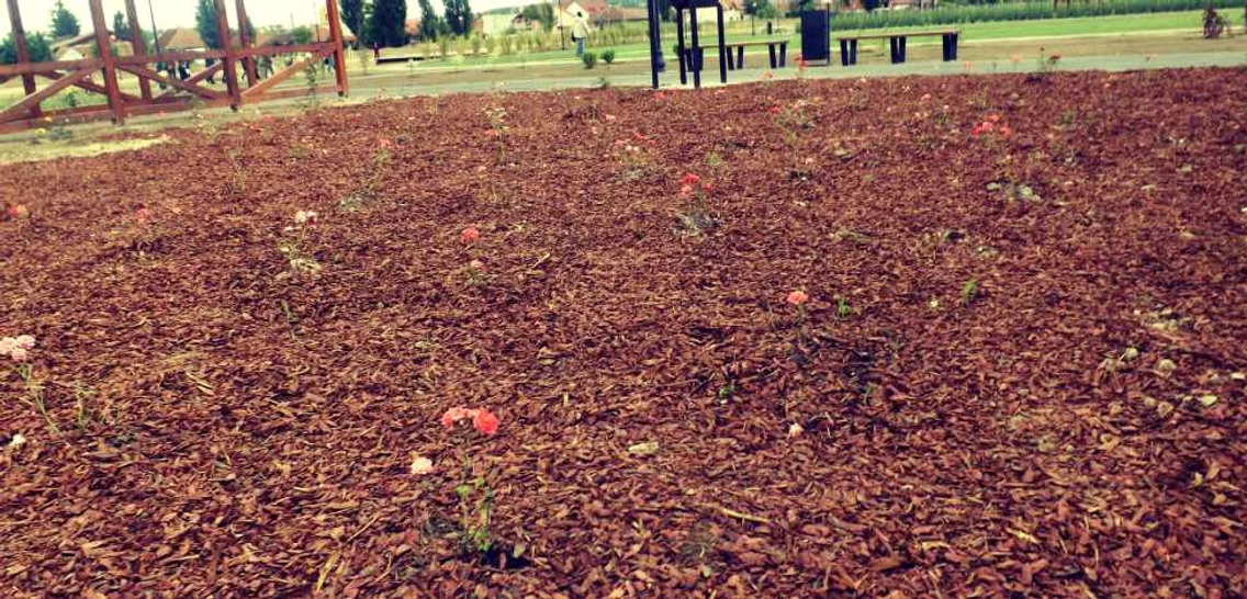 Parcul Salca