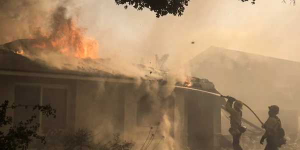 Pompieri se luptă cu incendiul Thomas care a pornit peste noapte în Ventura California Statele Unite ale Americii FOTO EPA-EFE / John Cetrino