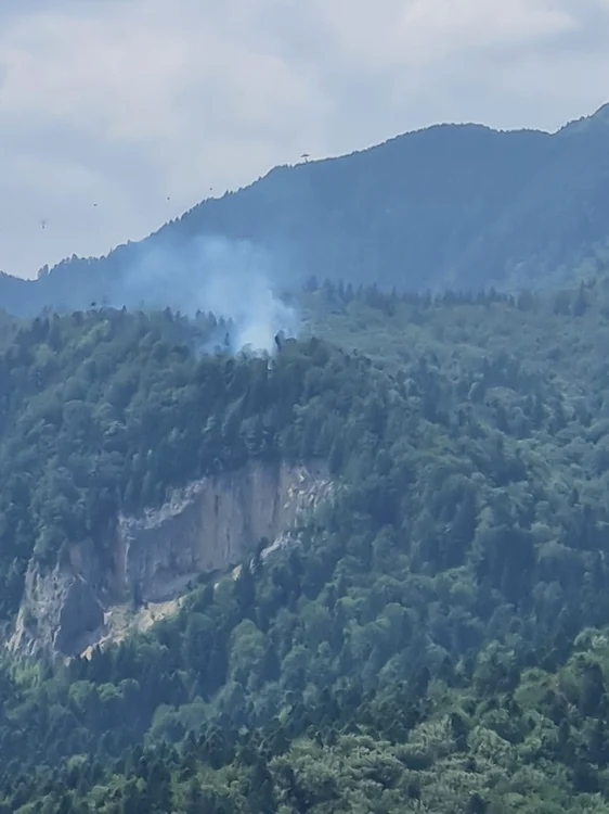 Incendiu de pădure între Buşteni şi Sinaia